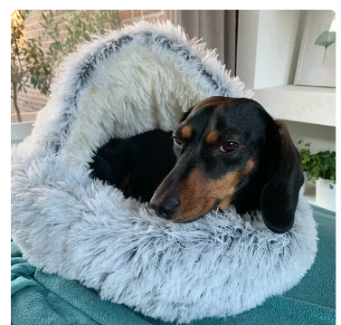 2-in1 Pet Bed My Store