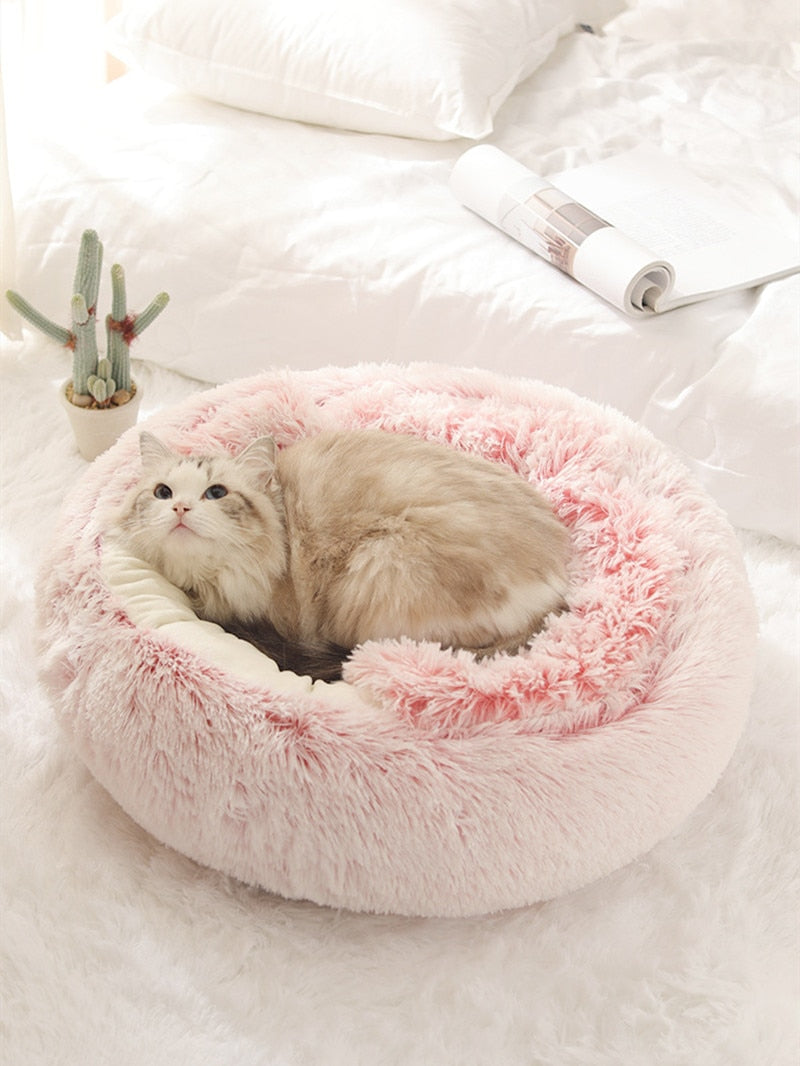 2-in1 Pet Bed My Store