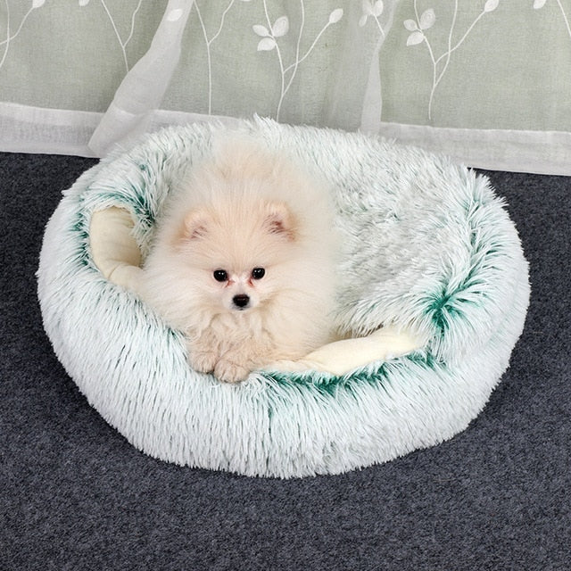 2-in1 Pet Bed My Store