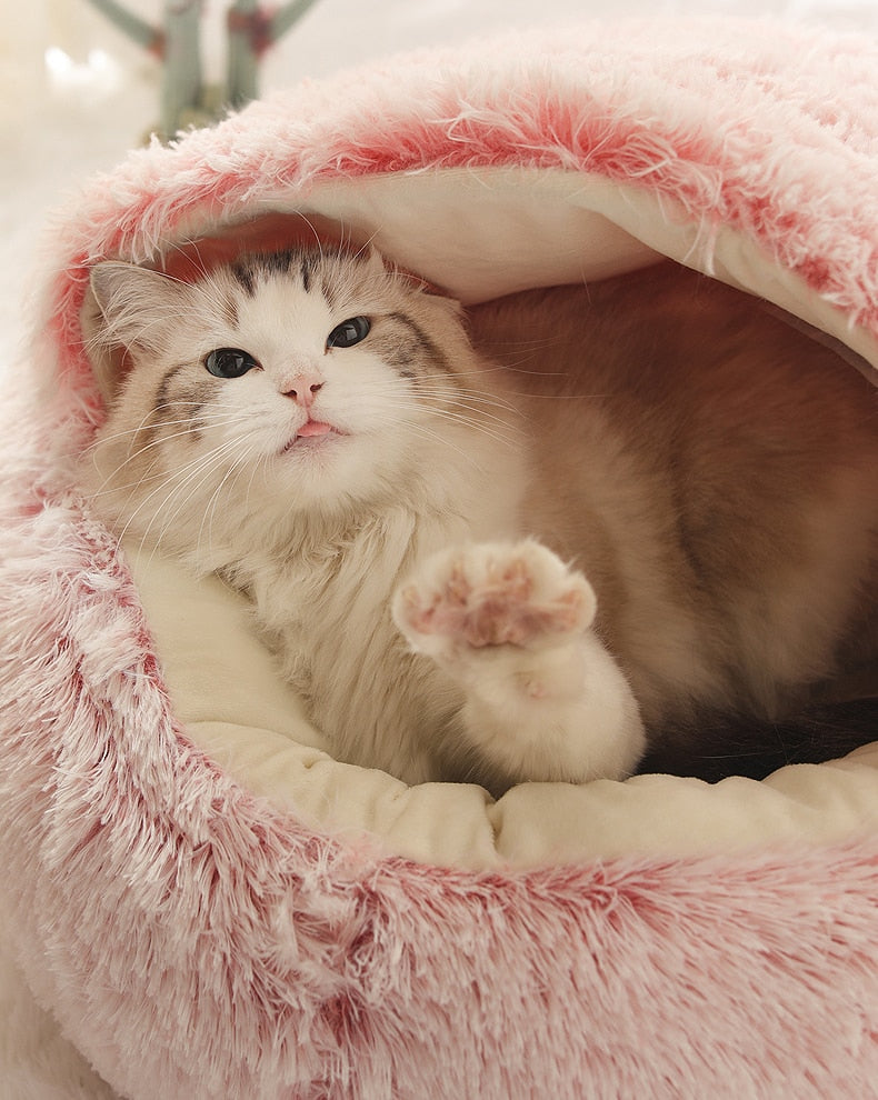 2-in1 Pet Bed My Store