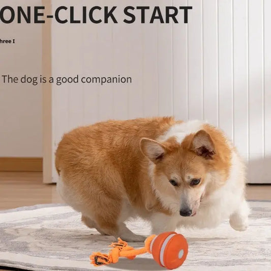 Interactive Pet Rolling Ball Toy USB Rechargeable My Store